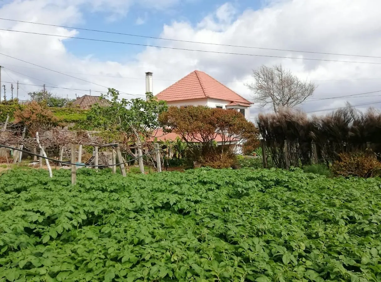 Holiday home Avo Lucindinha House - Porto Moniz Villa