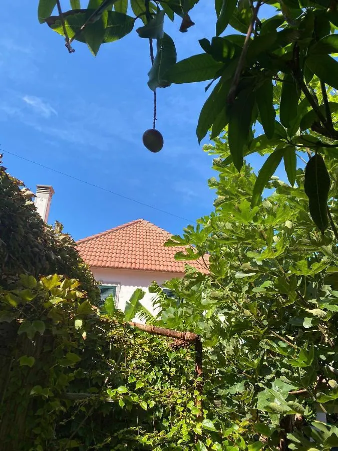Holiday home Avo Lucindinha House - Porto Moniz Villa